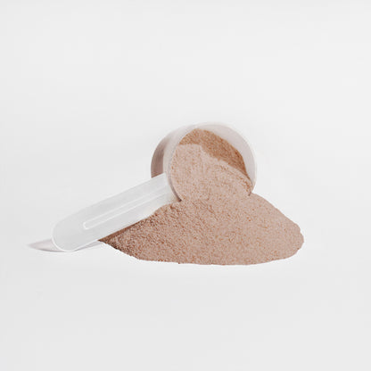 Chocolate Vegan Pea Protein Isolate Powder